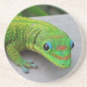 Gecko Untersetzer (Vorne)