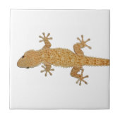Geckoeidechse Fliese (Vorderseite)