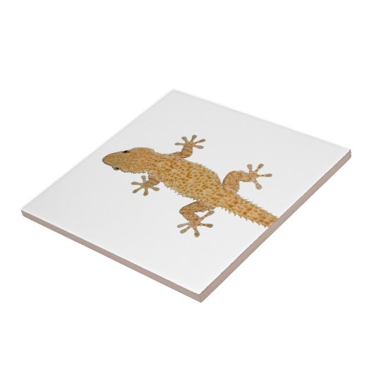 Geckoeidechse Fliese (Seite)