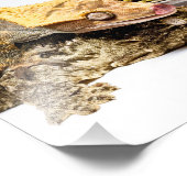 Geckos Fotodruck (Ecke)