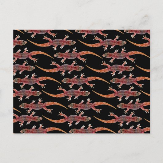 Geckos Postkarte (Vorderseite)