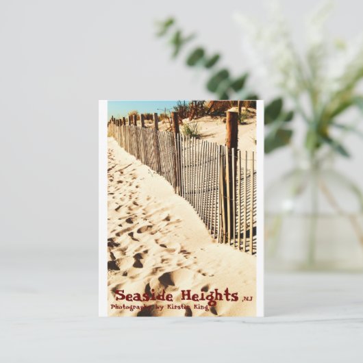 Gedächtnis 1 137, Meereshöhe, Fotografie von K... Postkarte (Stehend Vorderseite)