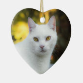 Gedächtnis des Rainbow-Ornaments für Haustiere Keramik Ornament (Rechts)