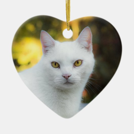 Gedächtnis des Rainbow-Ornaments für Haustiere Keramik Ornament (Vorne)