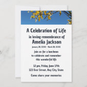 Gedächtnisdienst laden Treppensee Morgenlandschaft Einladung (Rückseite)