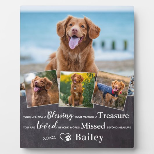 Gedächtniserinnerung an den benutzerdefinierten Ha Fotoplatte (Vorderseite)