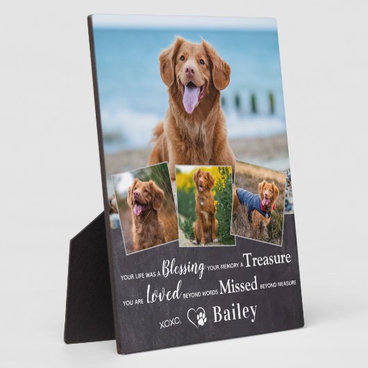 Gedächtniserinnerung an den benutzerdefinierten Ha Fotoplatte (Seite)