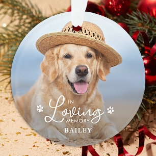 Gedächtnisgedächtnis für Hund-2-Foto Ornament