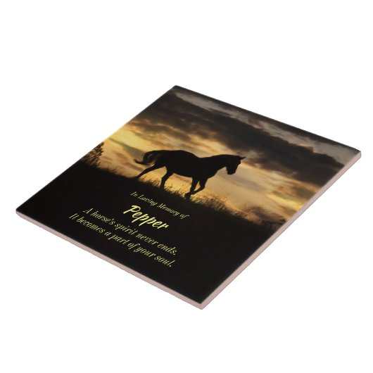 Gedächtnisgeist mit Namen Fliese (Seite)