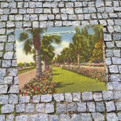 Gedächtnissieg Palms Savannah GA Retro Postkarte