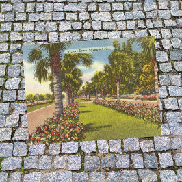 Gedächtnissieg Palms Savannah GA Retro Postkarte
