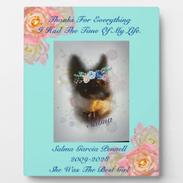 Gedächtnistraining Fotoplatte