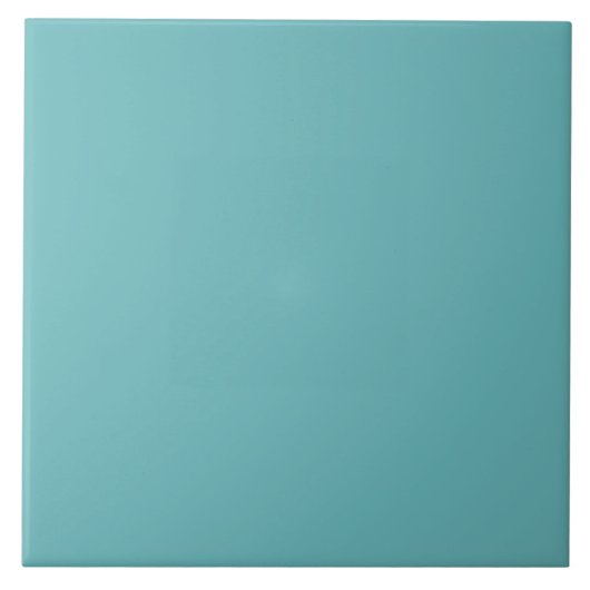 Gedämpfte Aquakeramikfliese Fliese (Vorderseite)
