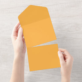 Gedämpfte Orange Hintergrundtextur für Web und Dru All In One Einladung