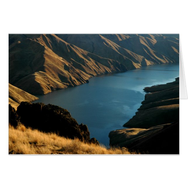 GEDÄMPFTE SCHLANGE: Dezember-Fluss (Vorderseite (Horizontal))