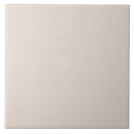 Gedämpftes Taupe-Grau Fliese