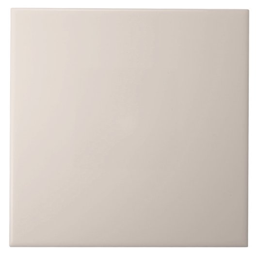 Gedämpftes Taupe-Grau Fliese (Vorderseite)