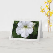 Gedanken an Sie Petunia Karte (Gelbe Blume)