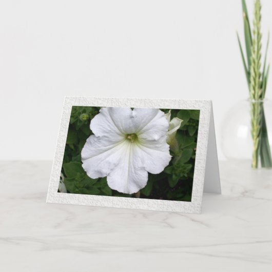 Gedanken an Sie Petunia Karte (Vorderseite)