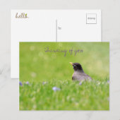 Gedanken an Sie Postkarte  (Vorne/Hinten)