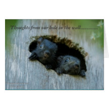 Gedanken von unserem Loch in der Wand ......