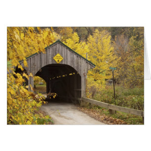 Gedeckte Brücke, Vermont, USA 2
