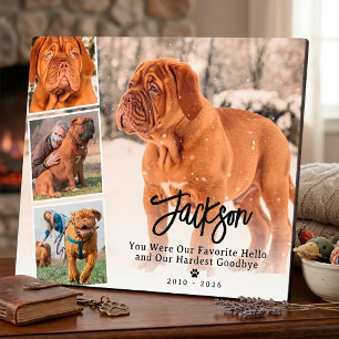 Gedenk-Fotocollage für Haustiere Hund oder Katze z Fotoplatte