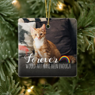 Gedenkbild Katze Tribut 2 Foto Keramikornament