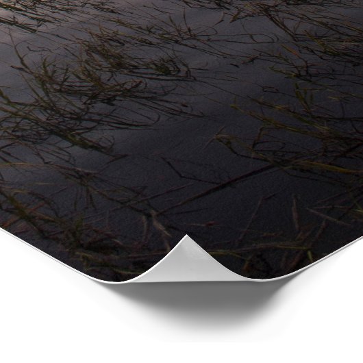 Gedenkbrücke aus Holz bei Sunset in Beaufort Poste Poster (Ecke)