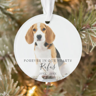 Gedenke-Tierfoto Hund Katze Weihnachten Ornament