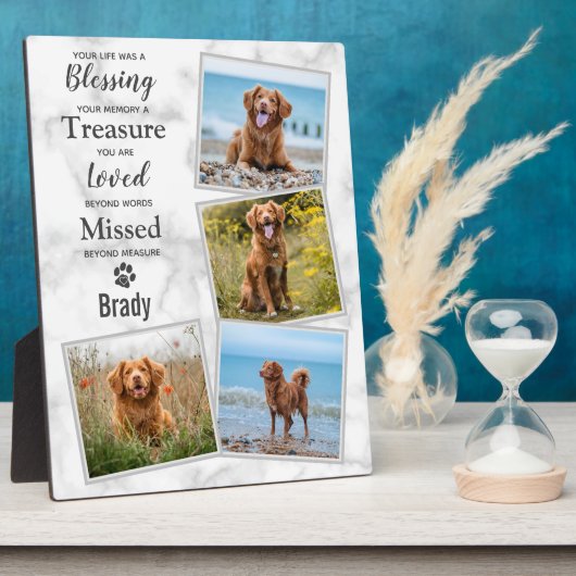 Gedenken an das Hundeschutzgepäck Fotoplatte (Seite)