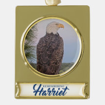 Gedenken an Harriet Ornament