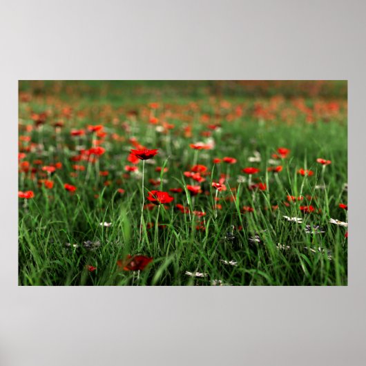 Gedenken (Gedenktag) Poster (Vorne)