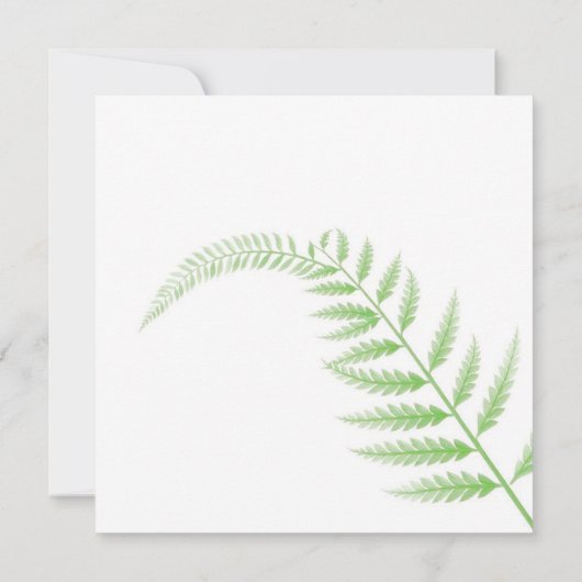 Gedenkens Karte Farnblattes (Rückseite)