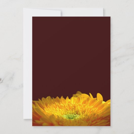 Gedenkfeier / Bekanntgabe Ankündigung (Rückseite)