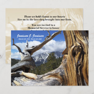 Gedenkfeier-Einladung Berg, Baum individuell Einladung