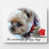 Gedenkfeier Fotoplatte (Vorderseite)