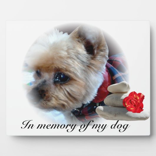 Gedenkfeier Fotoplatte (Vorderseite)