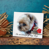 Gedenkfeier Fotoplatte (Seite)