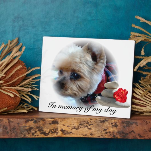 Gedenkfeier Fotoplatte (Seite)