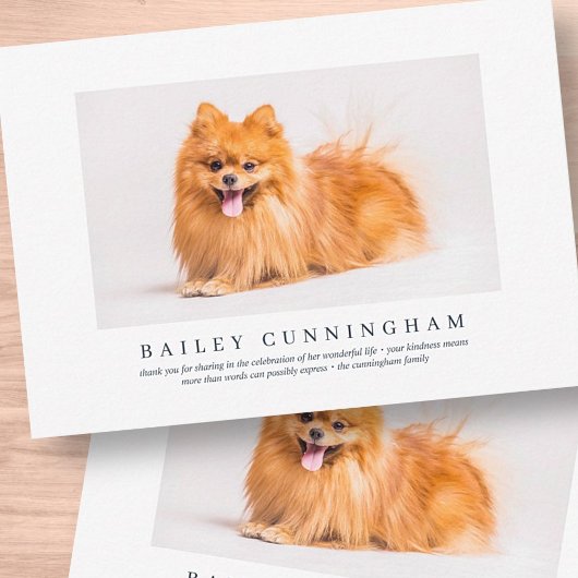 Gedenkfeier für Begleiter | Elegantes modernes Fot Dankeskarte