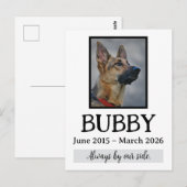 Gedenkfeier für verstorbene Haustiere - In unseren Postkarte (Vorne/Hinten)