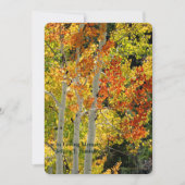 Gedenkfeier zum Lebensaspekt im Herbst Einladung (Vorderseite)