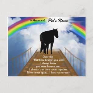 Gedenkgedicht von Rainbow Bridge für Pferde Postkarte