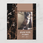 Gedenkkarten Silhouette Vögel (Vorderseite)