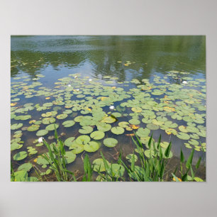 Gedenkpark-Feuchtgebiete Poster