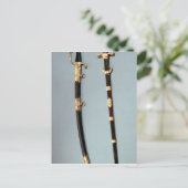 Gedenkschwert von Napoleon Bonaparte Postkarte (Stehend Vorderseite)