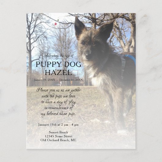 Gedenkstätte des rechten Fotos (Vorderseite)