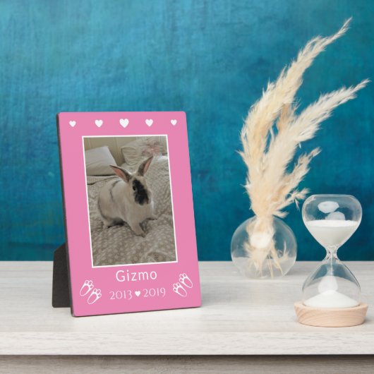 Gedenkstätte für das Foto der Kaninchen | Rosa Fotoplatte (Seite)