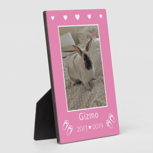 Gedenkstätte für das Foto der Kaninchen | Rosa Fotoplatte (Seite)
